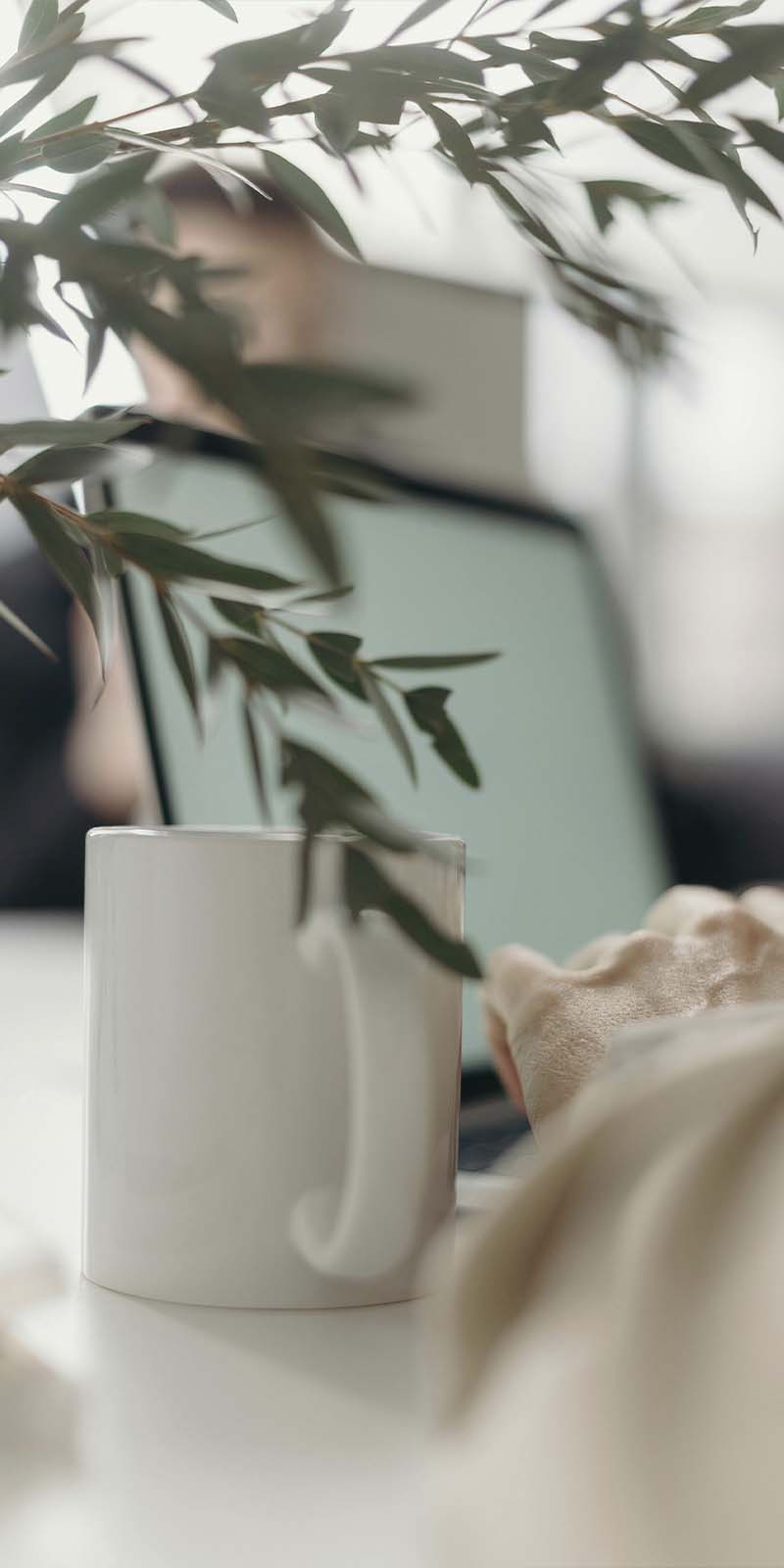 bureo-ceres--nosotros